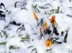 Osterwetter: Winterliche Ostern 2008 Elsass und Schwarzwald