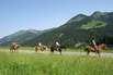 Reiten Reiturlaub Reiterferien auf dem Reiterhof im Elsass