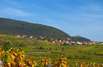 Elsässische Weinstrasse (Route des Vins d`Alsace)