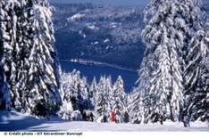 Winter im Elsass