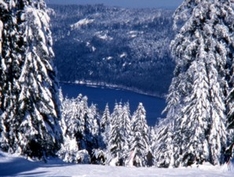 Weisse Weihnachten