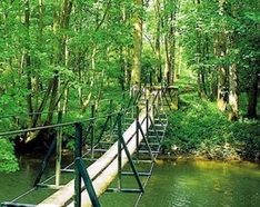 Grosses Ried und Illwald (Elsass)