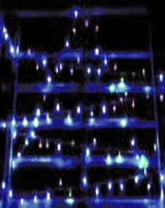Blaue Weihnachten in Guebwiller im südlichen Elsass