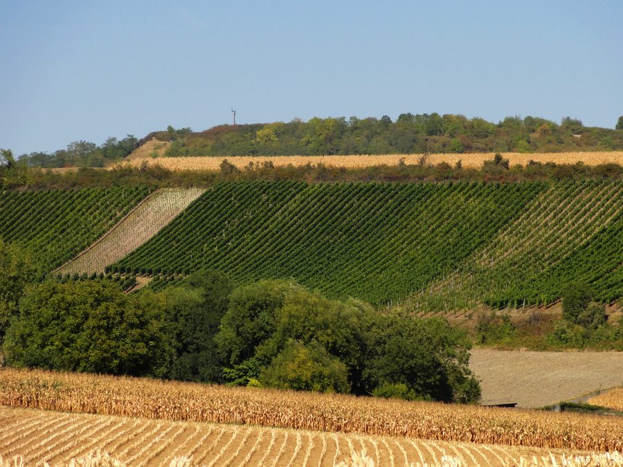 Landschaft bei Kuttolsheim mit der Kochersberg-Hügelkette im Hintergrund