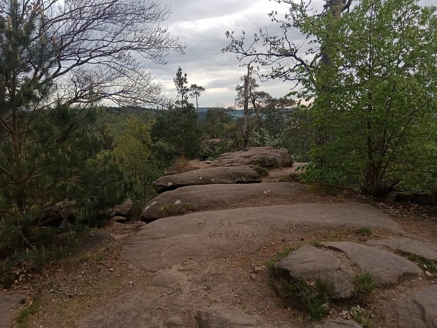 Krappenfels bei Wingen im nördlichen Elsass
