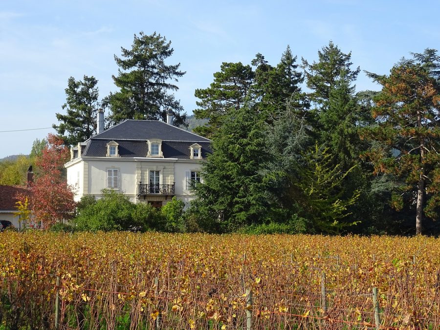 Belle demeure et vigne entre Hartmannswiller et Soultz-Haut-Rhin, Haut-Rhin
