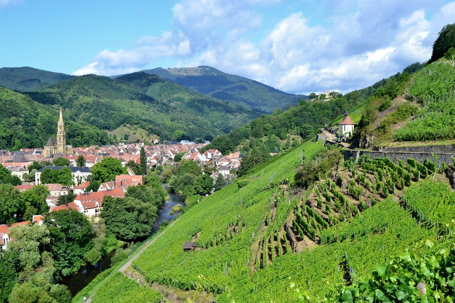 Blick über den Grand Cru Rangen bei Thann mit den Weinbergshängen und der Stadt im Tal