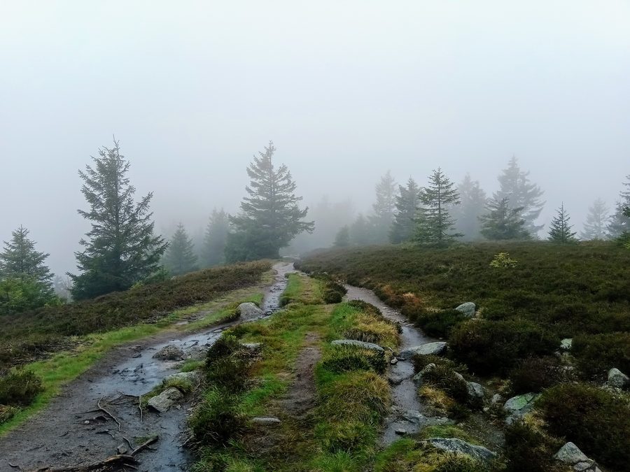 Landschaft am Grand Wurzelstein bei Stosswihr und Le Valtin in den Vogesen