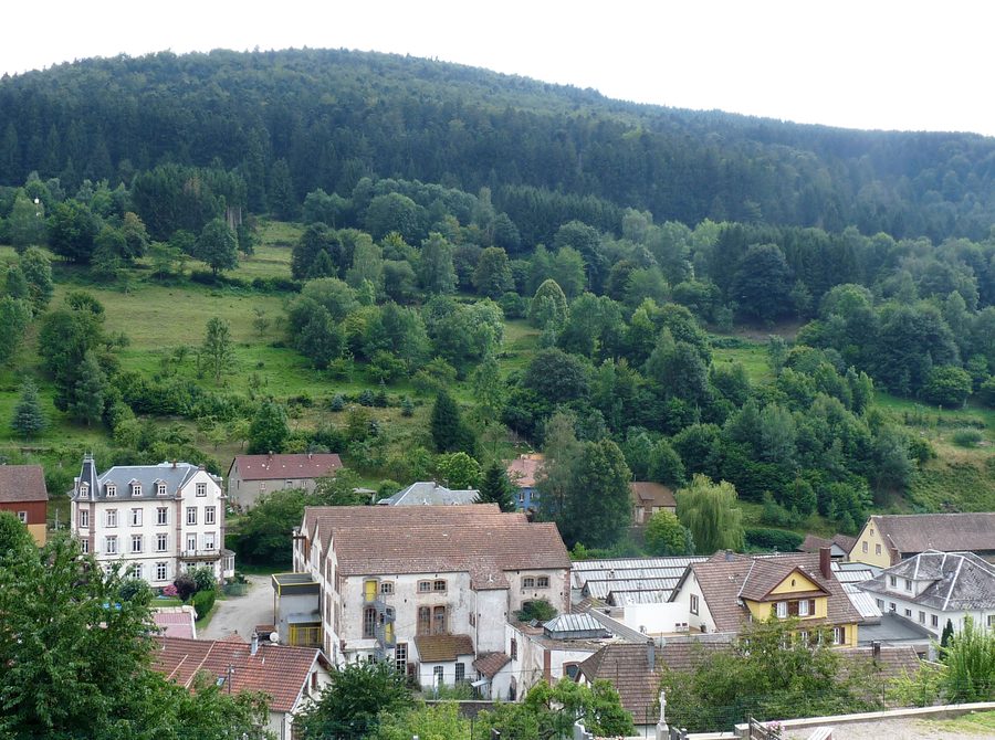 Blick auf Natzwiller im Elsass