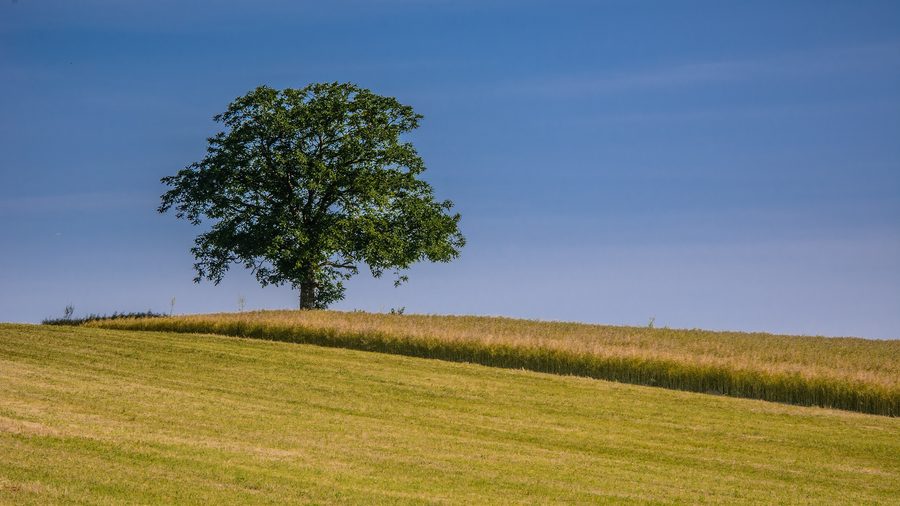 Landschaft nahe der französisch-schweizerischen Grenze bei Leymen und Flüh