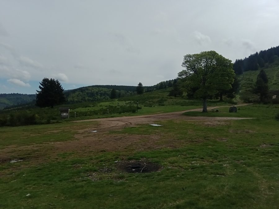 Bewaldete Berglandschaft am Col de la Perheux bei Wildersbach im Elsass