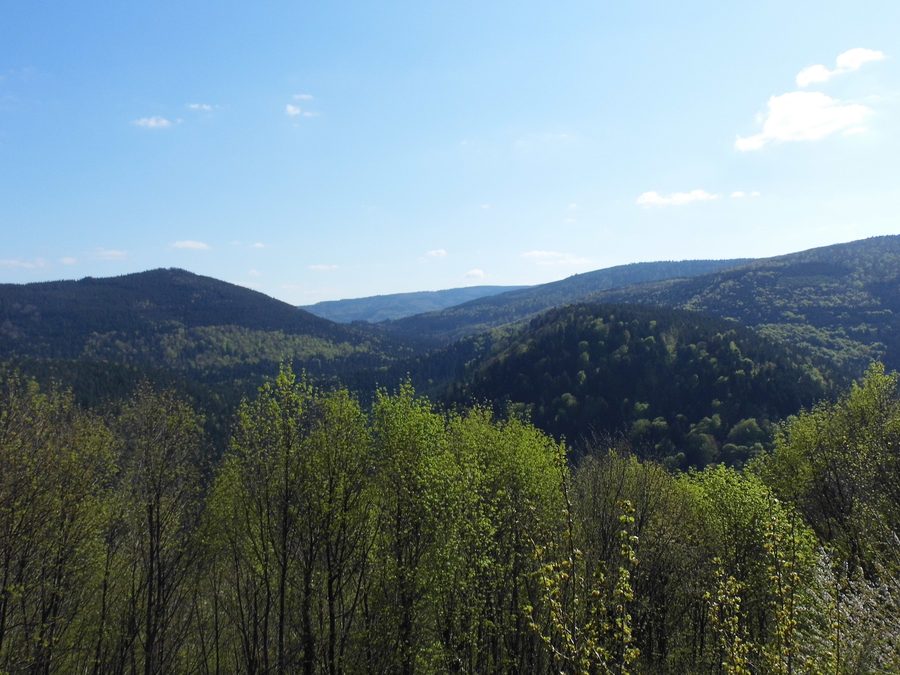 Ruins of Château de Guirbaden in the wooded Vosges foothills