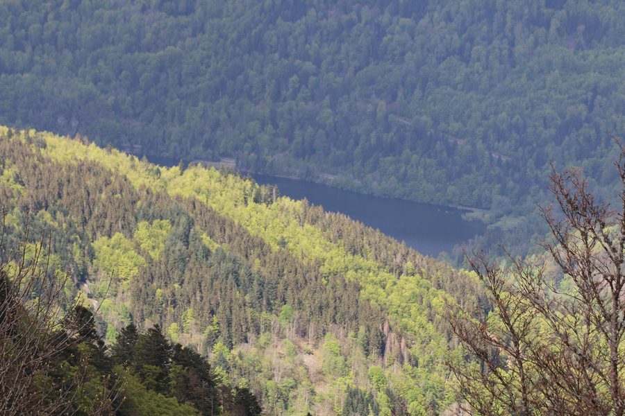 Lac de Kruth-Wildenstein vu depuis le Haut de Felsach, entouré de forêts et de montagnes