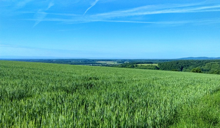 Landschaft im Regionalen Naturpark Ballons des Vosges