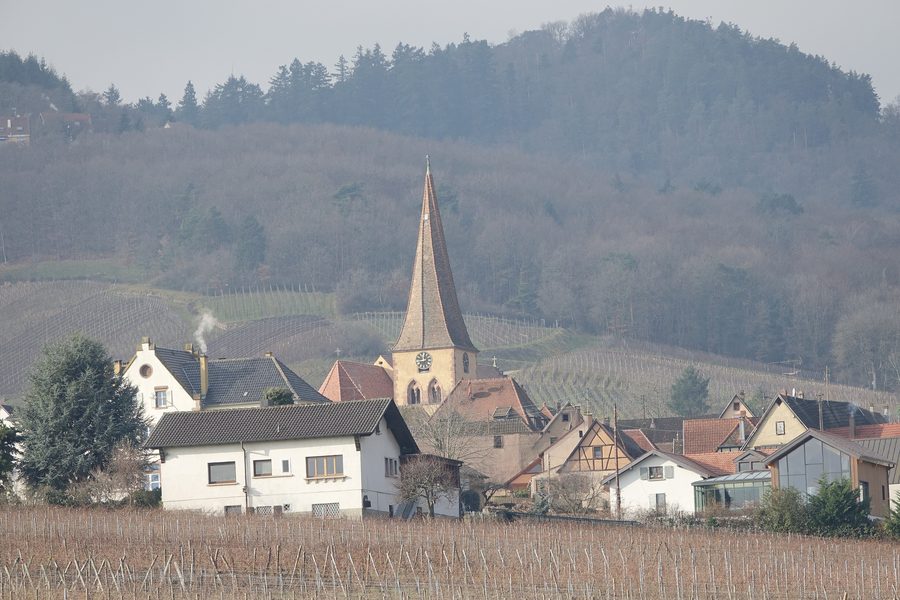Niedermorschwihr mit Dorf und Kirche im Elsass