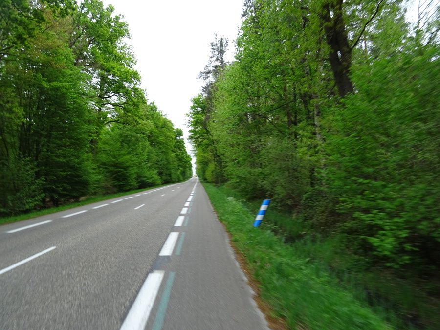 Waldweg zwischen Marienthal und Gries im Bas-Rhin