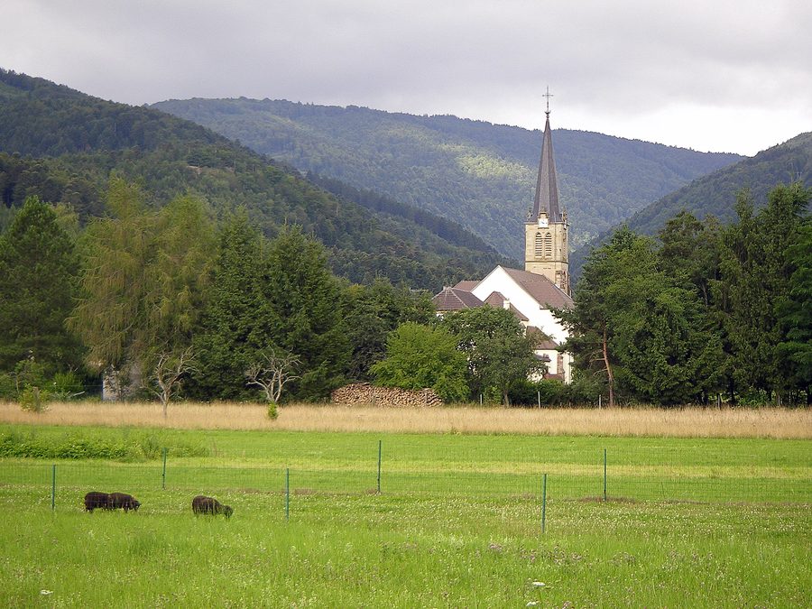 Vue du village de Dolleren dans le Haut-Rhin