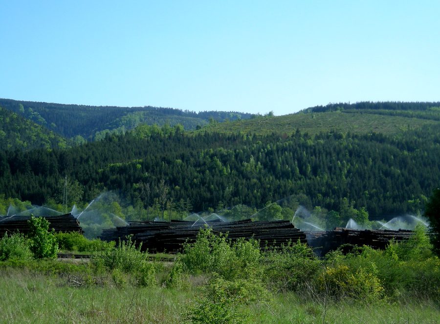Environnement vallonné et boisé à Urmatt dans les Vosges
