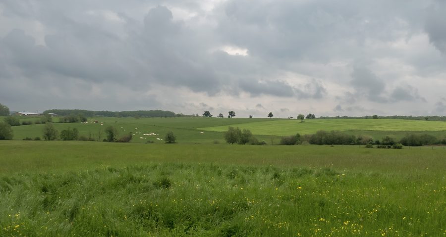 Panorama der ländlichen Landschaft nahe Weiterswiller