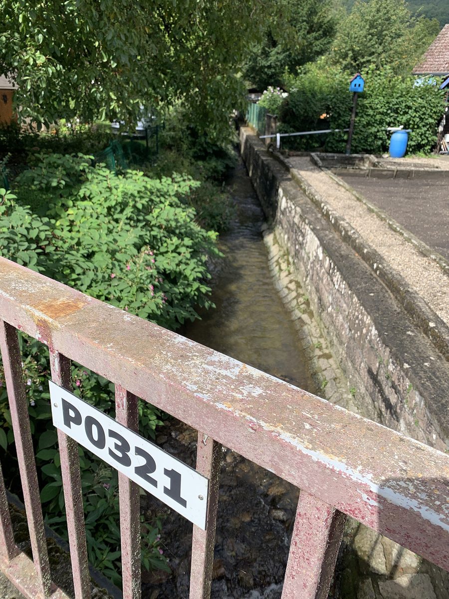 Murbach-Zufluss im Tal von Florival bei Buhl im Elsass