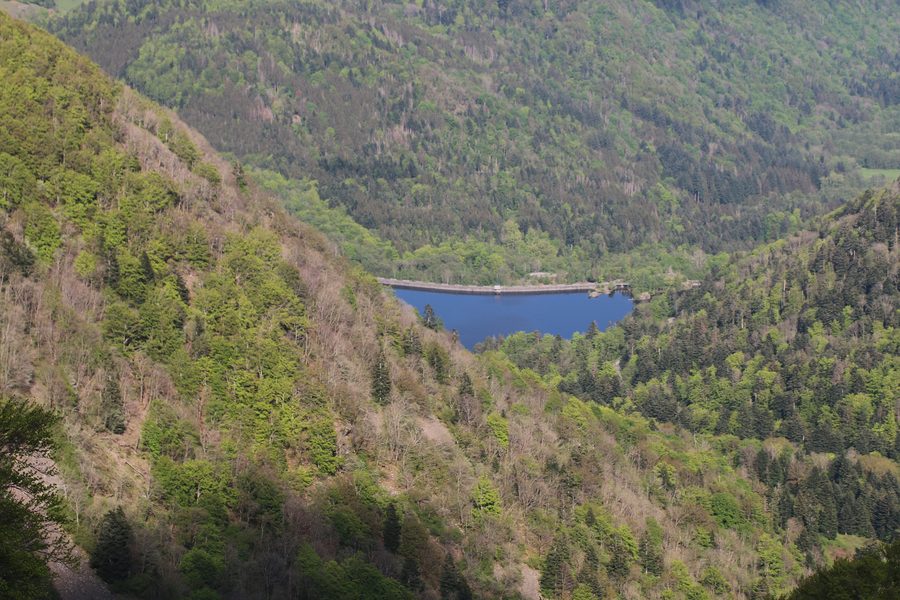 Blick auf den Alfelder See bei Sewen im Elsass