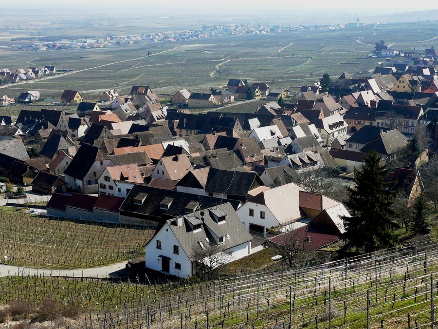 Teilansicht des historischen Dorfes Gueberschwihr im Elsass, von den Höhen aus gesehen