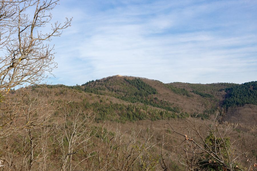 Blick vom Château du Pflixbourg auf das Château du Hohlandsbourg bei Wintzenheim