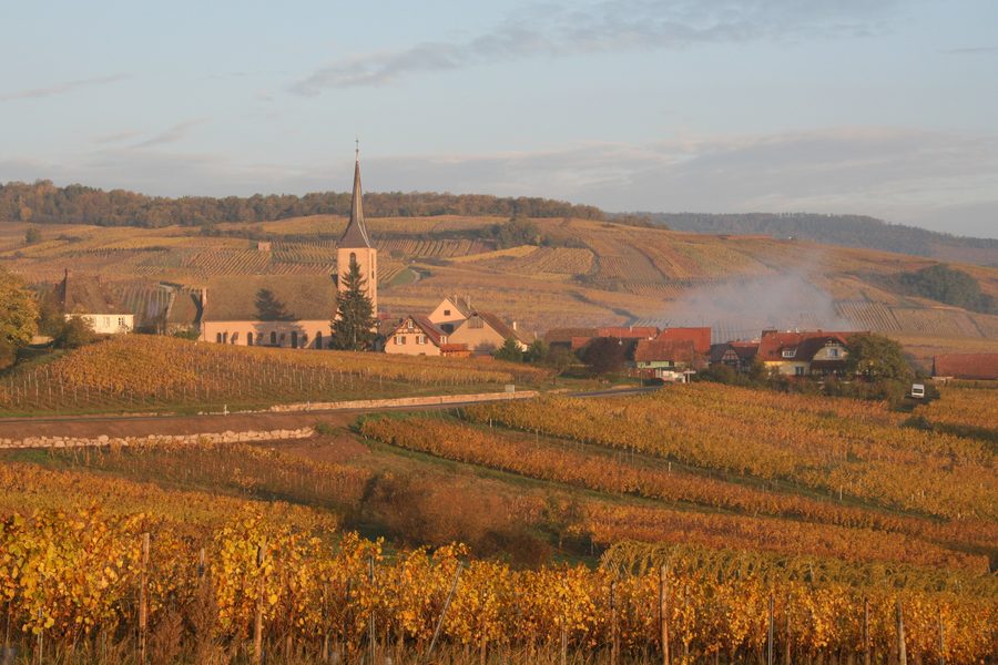 Blick auf Blienschwiller im Elsass mit dem Grand Cru Winzenberg hinter dem Dorf