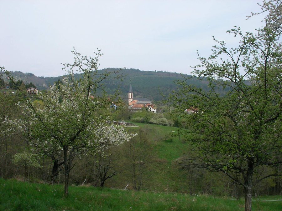 Village de Thannenkirch dans le Haut-Rhin