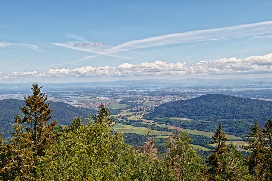 Vue depuis le rocher du Coucou à La Vancelle sur la plaine d’Alsace et Sélestat
