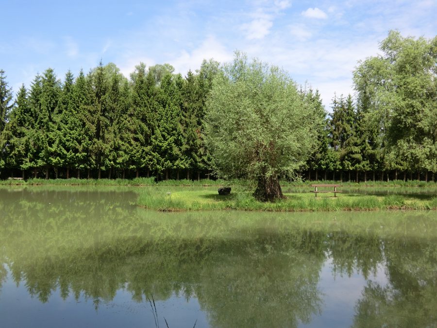 Geschütztes Naturreservat Petite Camargue Alsacienne im südlichen Elsass nahe Saint-Louis