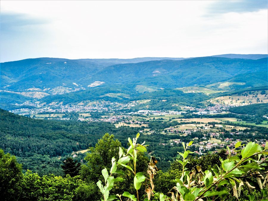 Panorama der Vallée de Villé mit bewaldeten Hängen und Talraum