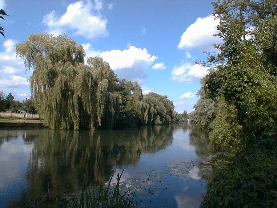 L’Ill à Ostwald en Alsace