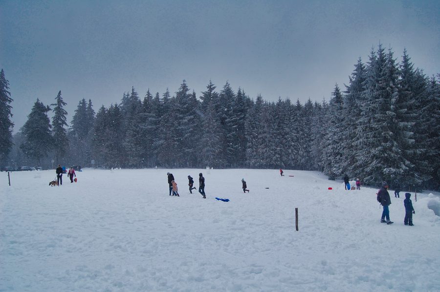 Verschneite Landschaft am Champ du Feu im Elsass