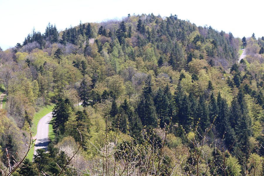Landschaft im Regionalen Naturpark Ballons des Vosges