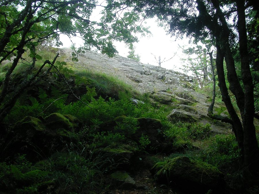 Rocher de Rathsamhausen (1 025 m) à Belmont, dans le Bas-Rhin
