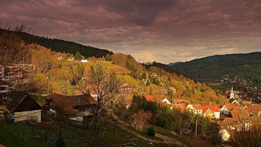 Blick auf Muhlbach-sur-Munster von der Straße nach Gaschney