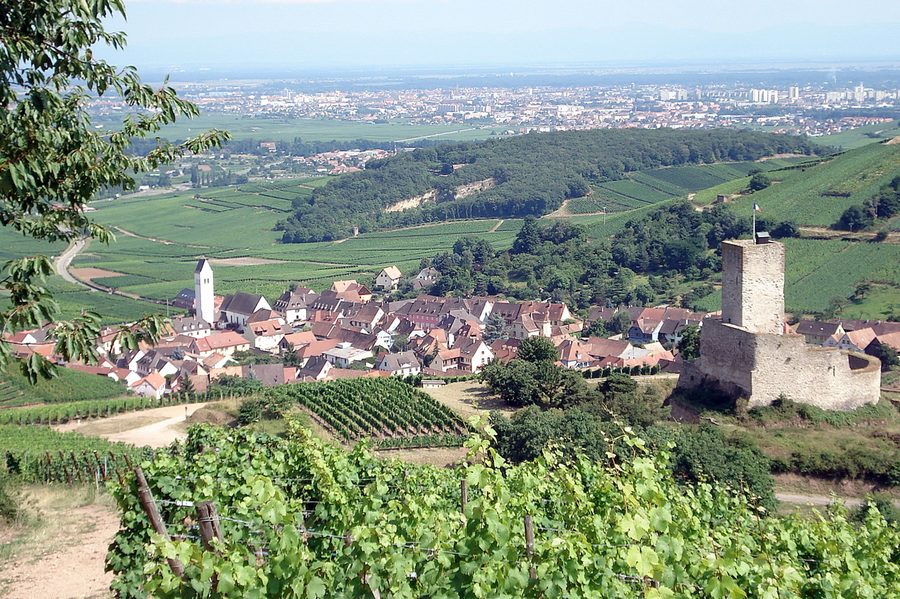 Le village de Katzenthal avec le château ruiné du Wineck entouré de vignobles