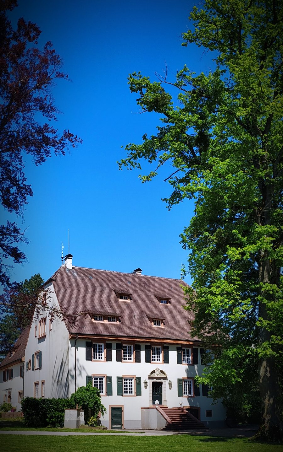 Château à Hagenthal-le-Haut