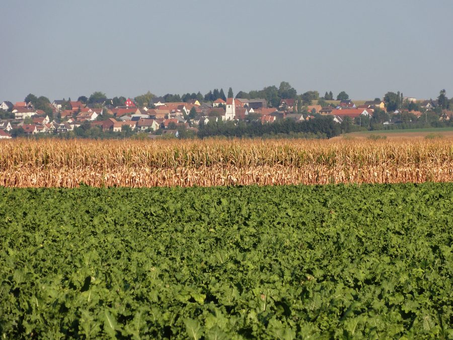 Blick auf das Dorf Durningen im Kochersberg