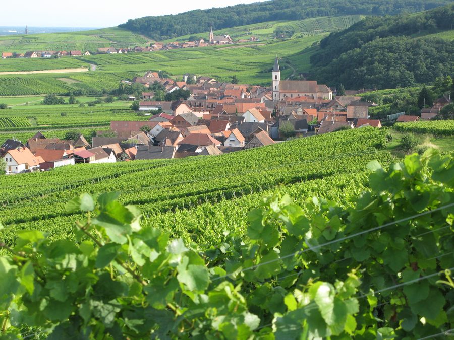 Panorama des villages de Nothalten et Blienschwiller, entourés de vignobles et de collines sous-vosgiennes