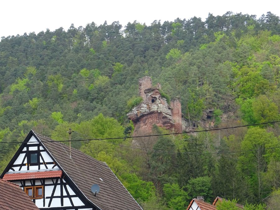 Ruine des Petit-Arnsberg bei Obersteinbach im nördlichen Elsass