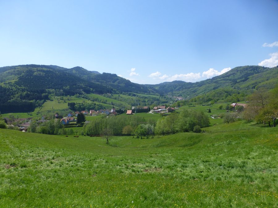 Blick auf das Dorf Steige im Vallée de Villé