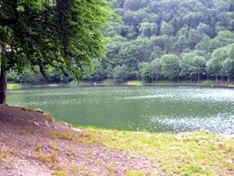 Lac du Lachtelweiher