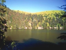 Lac Vert - Lac de Soultzeren