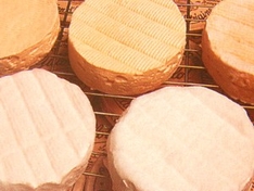 Münsterkäse - Munsterkäse (fromage de munster d`Alsace)