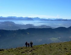 Route des Crêtes Vogesen Elsass (Alsace)