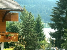 Schwarzwald mit Schluchsee