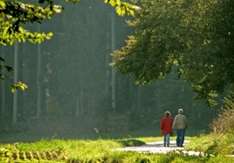 Wanderung um den Mont Ste-Odile im Elsass