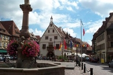 Elsässische Weinstrasse von Molsheim bis Obernai